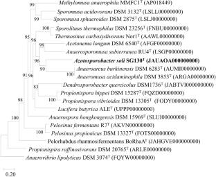 Azotosporobacter soli gen. nov., sp. nov., a novel nitrogen-fixing bacterium isolated from paddy soil