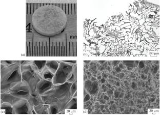 Cryogenically Structured Extracellular Matrix Mimetic Based on a Concentrated Collagen-Containing Solution