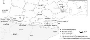 Carrion insects living within the bones of large mammals: insect conservation and forensic entomology implications