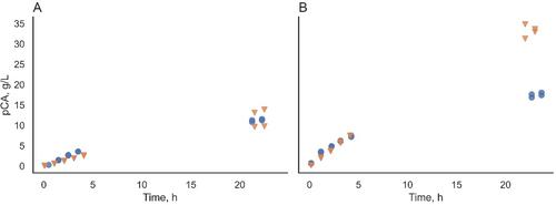 Biocatalysis with In-Situ Product Removal Improves p-Coumaric Acid Production