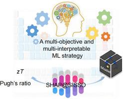 A multi-objective, multi-interpretable machine learning demonstration verified by domain knowledge for ductile thermoelectric materials