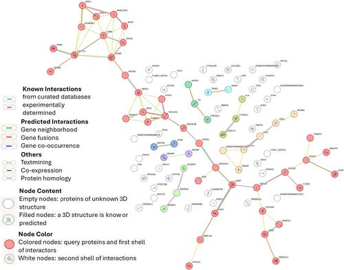 Identification of genetic markers associated with hyperketonemia patterns in early lactation Holstein cows