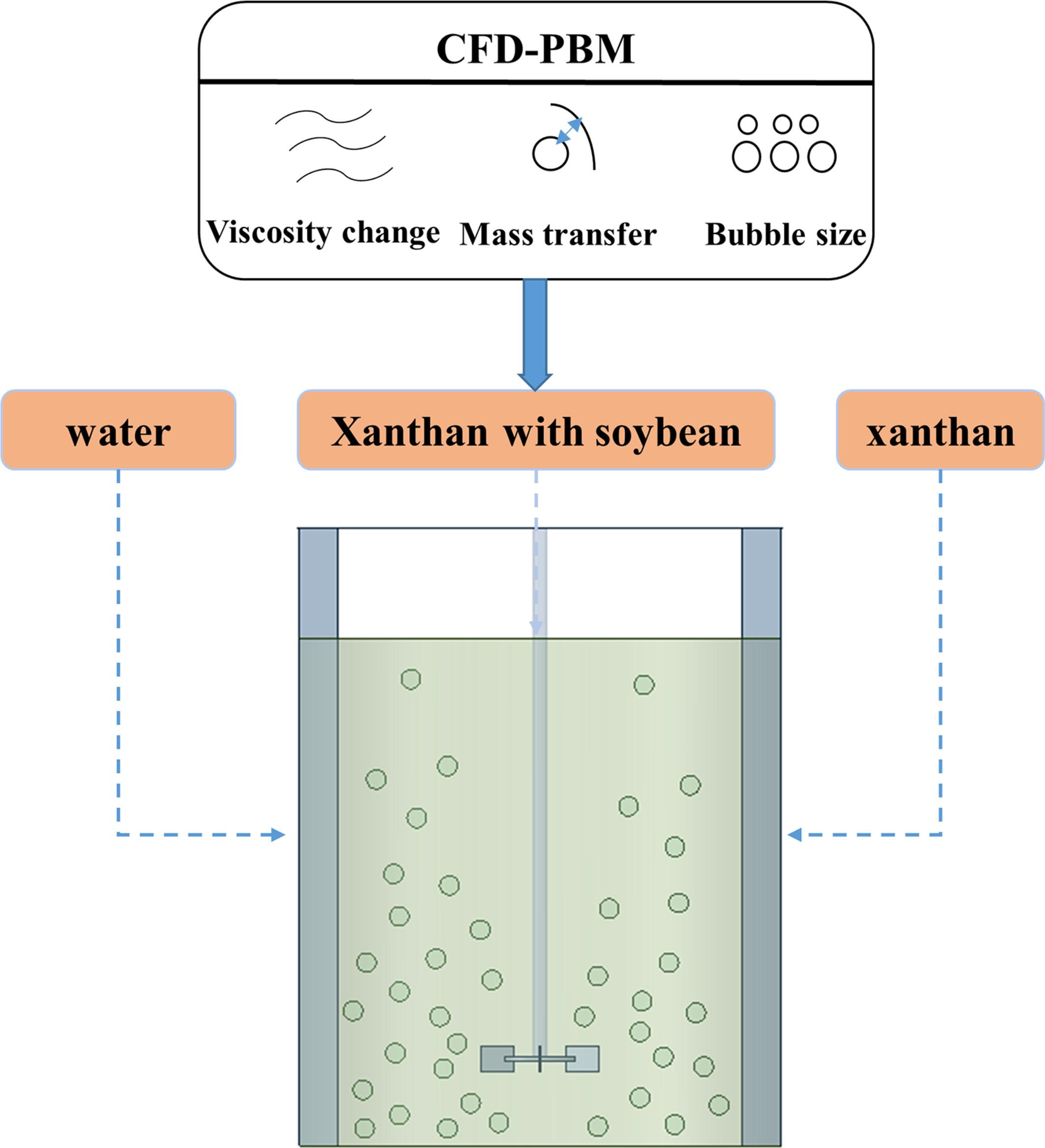 Mass transfer and bubble hydrodynamics in stirred tank with multiple properties fluid via a CFD-PBM method