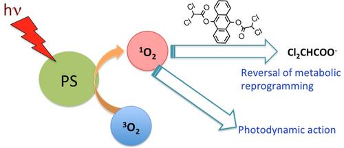 Reversing Reprogramming of Cancer Cell Metabolism by Singlet Oxygen Triggered Release of Dichloroacetate Enhances Photodynamic Cytotoxicity