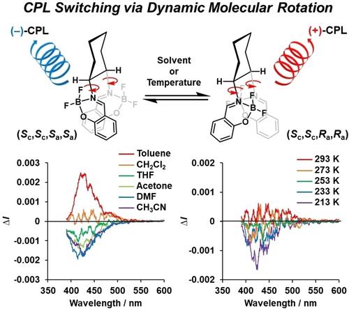 Switching of Circularly Polarized Luminescence via Dynamic Axial Chirality Control of Chiral Bis(Boron Difluoride) Complexes with Salen Ligands