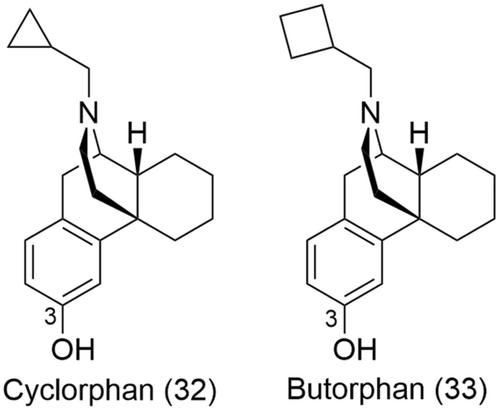 Bivalent and bitopic ligands of the opioid receptors: The prospects of a dual approach