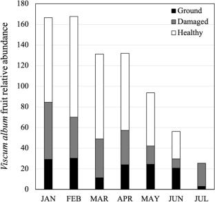 Environmental factors driving infestations of a keystone winter fruit by an invasive and a native fruit fly