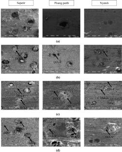 Treatability and dimensional stability of three hardwood species using different types of water-soluble impregnating agent