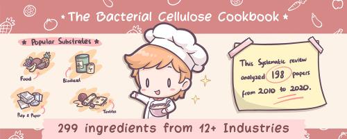 Bacterial cellulose cookbook: A systematic review on sustainable and cost-effective substrates