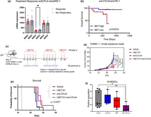 BET inhibition sensitizes innate checkpoint inhibitor resistant melanoma to anti-CTLA-4 treatment