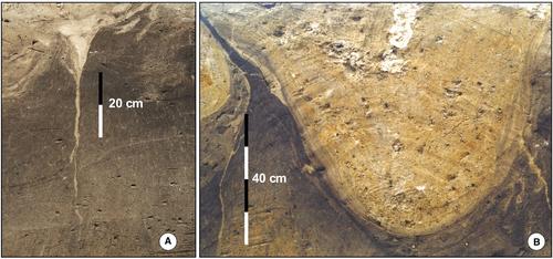 Late Middle Pleistocene (MIS 10–6) glacial–interglacial records from loess–palaeosol and fluvial sequences from northern France: a cyclostratigraphic approach