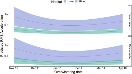 A comparative study of the alternative life history of iteroparous salmonids