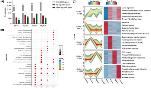 Pathogenicity and transcriptomic profiling reveals immunology molecular hallmarks after CA10 virus infection