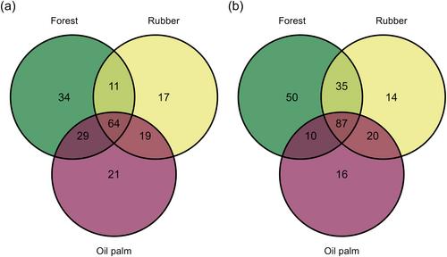 Rainforest transformation reduces parasitoid wasp diversity—Can the enrichment of flowering vegetation alleviate this?