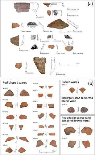 Petrographic and geochemical analyses of pottery from Wadi Tanuf, Oman: Approaching pottery production in south-eastern Arabia during the second and first millennia BCE