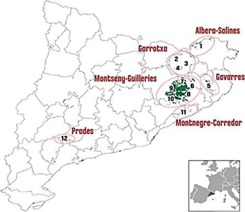 Temporal changes in the composition of parasitoid assemblages associated with the invasive chestnut gall wasp