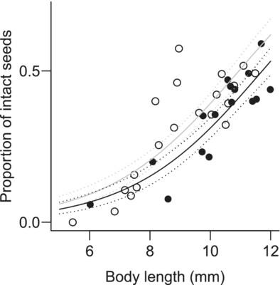 Influence of body size on the dual role of isopod Porcellio scaber in seed dispersal and predation of the mycoheterotrophic plant Monotropastrum humile