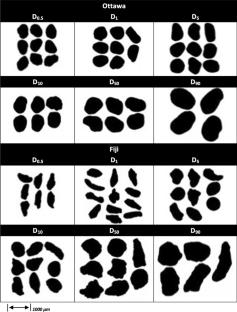 Effect of compression and shear on particle
         breakage of silica and calcareous sands