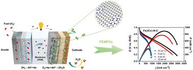 Elongated Fe–N–C containing trace atomic Co dopants for high power density PEMFCs†