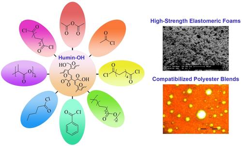 Abstract Image