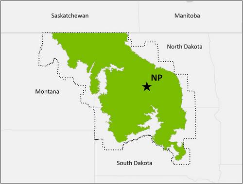 The Long-Term Agroecosystem Research Cropland Common Experiment at Northern Plains