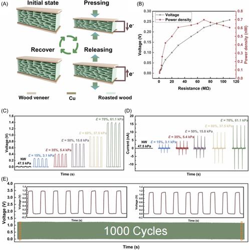 Superelastic wood-based nanogenerators magnifying the piezoelectric effect for sustainable energy conversion