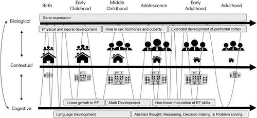 Positioning adolescence in the developmental timeline