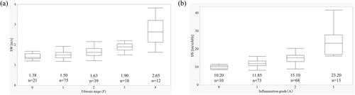 Influence of dispersion slope on the diagnosis of liver fibrosis by the shear wave in metabolic dysfunction-associated steatotic liver disease