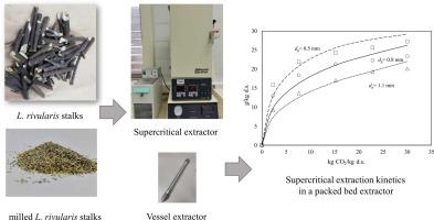 Effect of process parameters on the extraction kinetics of Leptocarpha rivularis DC. in a packed bed extractor using supercritical carbon dioxide