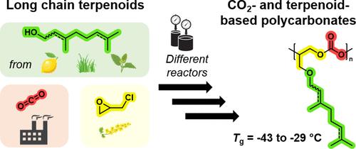 CO2-Based Polycarbonates with Low Glass Transition Temperatures Sourced from Long-Chain Terpenes