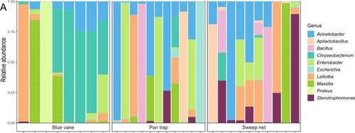 Microbiome and floral associations of a wild bee using biodiversity survey collections