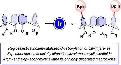 Iridium-Catalyzed C–H Borylations: Regioselective Functionalizations of Calix[4]arene Macrocycles