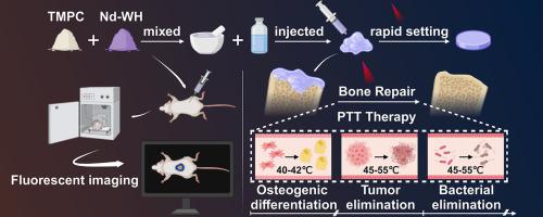 All-in-one strategy to develop a near-infrared triggered multifunctional bioactive magnesium phosphate bone cement for bone repair