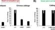 Time Course Transcriptomic Analysis of Cabbage (Brassica oleracea ssp. capitata L.) During Vernalization