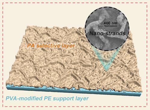 Polyethylene separator-supported nanofiltration membranes for desalination