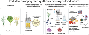 A review of pullulan nanopolymer derived from agro-food waste and its applications