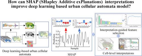 How can SHAP (SHapley Additive exPlanations) interpretations improve deep learning based urban cellular automata model?