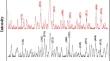 Comparison effects of gelation on sodium alginate–iron oxide nanocomposites for efficient catalytic degradation of organic dyes