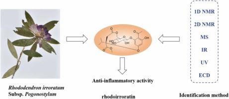 A new acetophenone derivative from Rhododendron irroratum subsp. pogonostylum