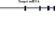 Selenium Treatment Alleviates the Inhibition Caused by Nep-L Gene Knockdown in Silkworm (Bombyx mori).