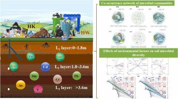 Impact of soil physicochemical factors and heavy metals on co-occurrence pattern of bacterial in rural simple garbage dumping site