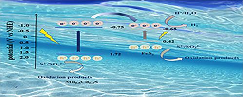 A novel noble-metal-free FeS2/Mn0.5Cd0.5S heterojunction for enhancing photocatalytic H2 production activity: Carrier separation, light absorption, active sites