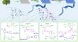 Durable, colored and dual crosslinking networks constructed in Lyocell cellulose structure for high-quality greener textiles