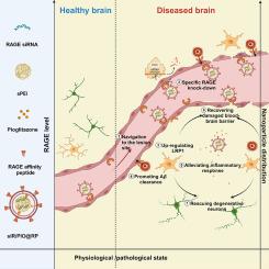 Counteracting Alzheimer’s disease via normalizing neurovascular unit with a self-regulated multi-functional nano-modulator