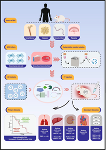 Therapeutic Effects of Mesenchymal Stem Cell-Derived Extracellular Vesicles in sepsis: a Systematic Review and Meta-Analysis of Preclinical Studies.