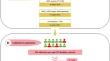 Multi-omics and multi-stages integration identified a novel variant associated with silicosis risk.