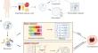 Tumor-derived extracellular vesicle proteins as new biomarkers and targets in precision oncology.