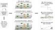 Resin foraging interactions in stingless bees: an ecological synthesis using multilayer networks