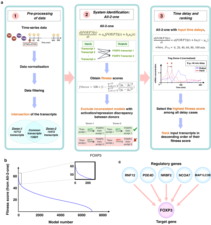 Inferring upstream regulatory genes of FOXP3 in human regulatory T cells from time-series transcriptomic data.