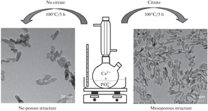 Effect of Citrate on Morphological and Structural Properties of Hydroxyapatite Nanoparticles Synthesized by Wet Chemical Precipitation Method